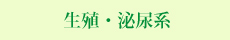 生殖・頻尿系